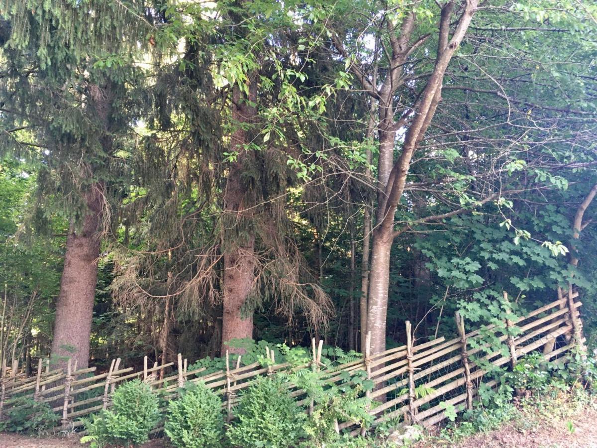 Naturforsthaus Gartenblick Fuer Hunde - Und Naturverbundene Menschen Preitenegg Eksteriør billede