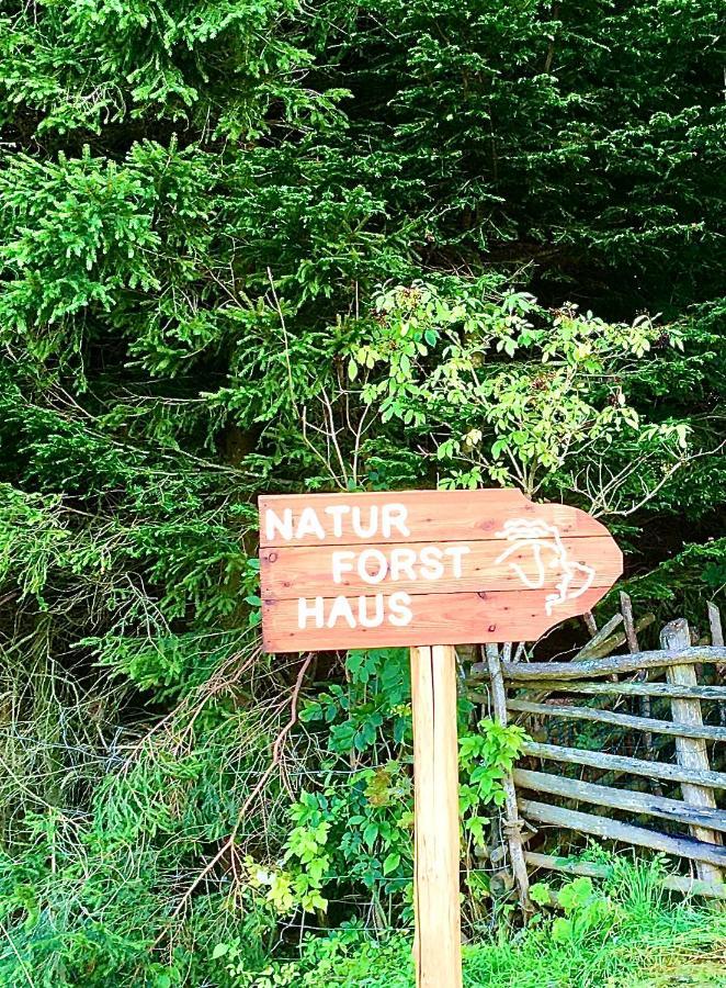 Naturforsthaus Gartenblick Fuer Hunde - Und Naturverbundene Menschen Preitenegg Eksteriør billede