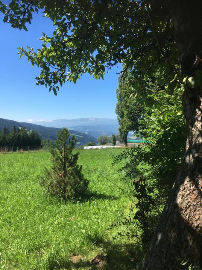Naturforsthaus Gartenblick Fuer Hunde - Und Naturverbundene Menschen Preitenegg Eksteriør billede