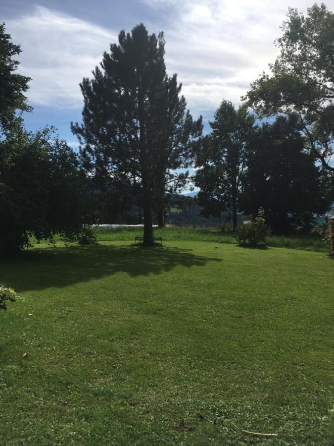 Naturforsthaus Gartenblick Fuer Hunde - Und Naturverbundene Menschen Preitenegg Eksteriør billede