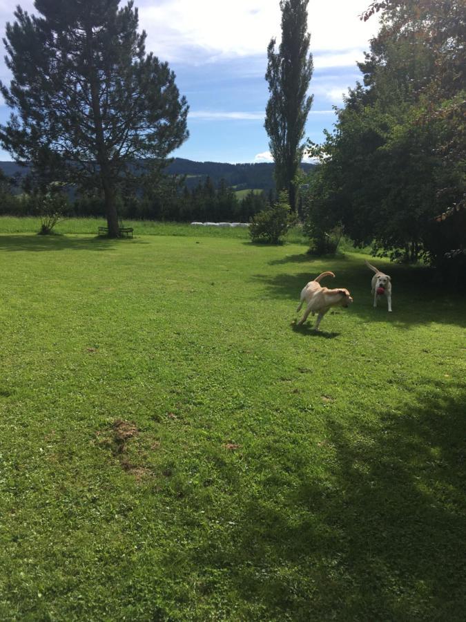 Naturforsthaus Gartenblick Fuer Hunde - Und Naturverbundene Menschen Preitenegg Eksteriør billede