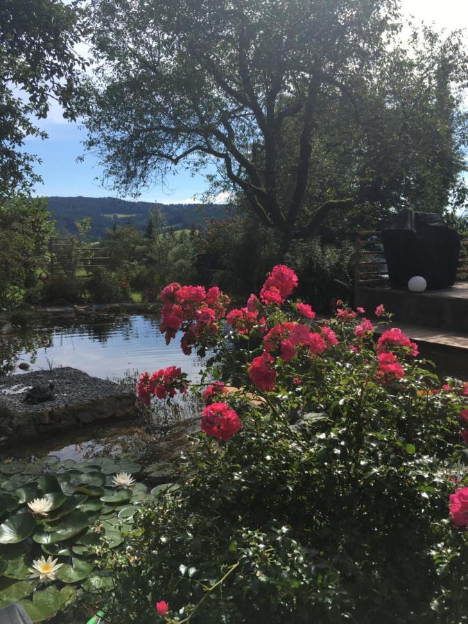 Naturforsthaus Gartenblick Fuer Hunde - Und Naturverbundene Menschen Bed and Breakfast Preitenegg Eksteriør billede